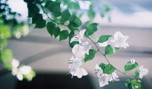 詩句,感慨,生命