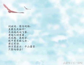 關(guān)于愛情的詩句唯美,關(guān)于愛情的詩句現(xiàn)代詩,關(guān)于愛情遺憾的詩句