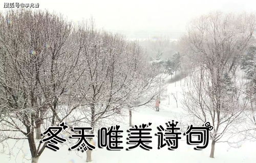 關(guān)于描寫(xiě)冬天的古詩(shī)句,寫(xiě)冬天的古詩(shī)句,描寫(xiě)冬天景色的古詩(shī)句