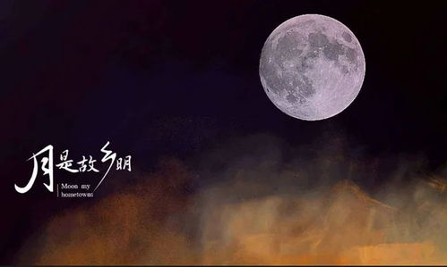 古詩詞,詩句,月光
