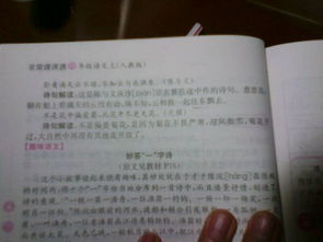 詩句,老人