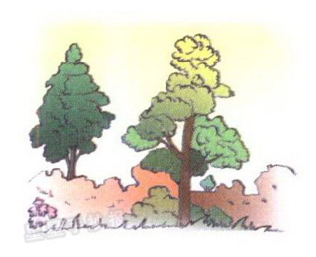 描寫山的詩(shī)句古詩(shī)大全,描寫杏花的詩(shī)句古詩(shī)大全,描寫月亮的詩(shī)句古詩(shī)大全