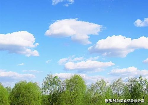 關(guān)于風(fēng)景的開(kāi)頭詩(shī)句