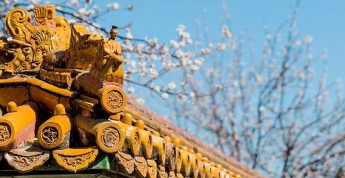 形容活在當下的古詩(shī)句