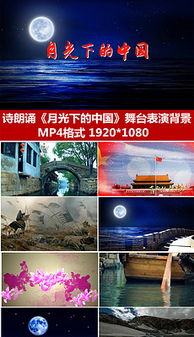 關(guān)于明月當(dāng)空時的詩句