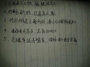 關(guān)于標準詩句