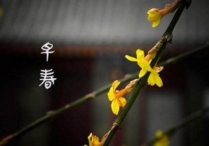 古詩,詩句,復(fù)蘇,萬物