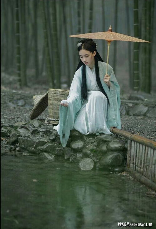 陶淵明關(guān)于自己種地的詩句