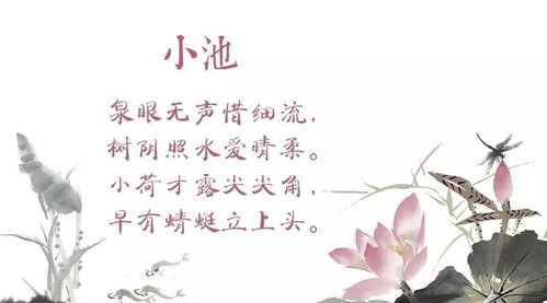 關于水的詩句小池