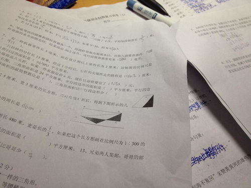 現(xiàn)在人們常用古詩(shī)句