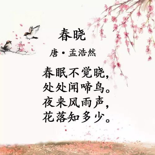 古詩(shī),詩(shī)句,描寫(xiě),優(yōu)美