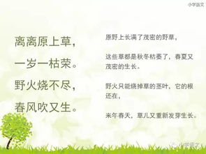 詩(shī)句,學(xué)過,于梅