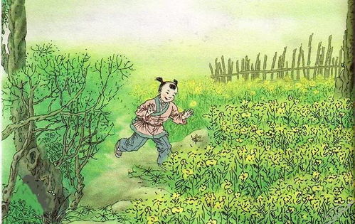 詩句,無憂無慮