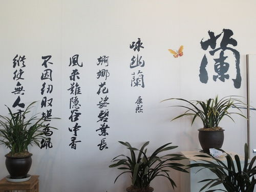 關(guān)于蘭花詩(shī)句古詩(shī)