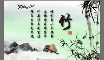 關(guān)于竹的詩句古詩大全