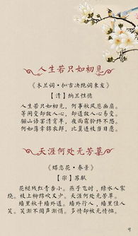回味無窮的古詩句