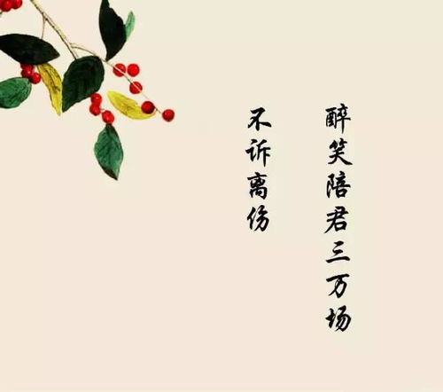 詩句,不遠(yuǎn),距離