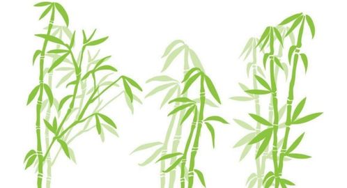 贊竹子的千古詩(shī)句