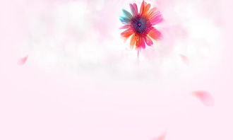 關于秋花的詩句