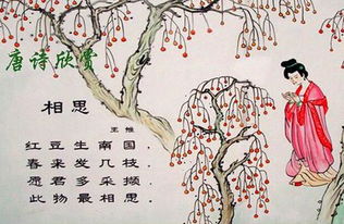 關(guān)于桂花的相思詩句古詩