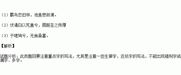 詩句,向往,內(nèi)心,自由