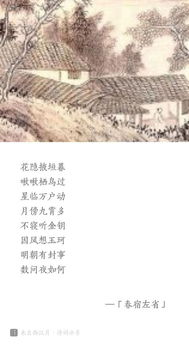 古詩江畔獨(dú)步尋花杜甫的詩句,關(guān)于杜甫的詩句古詩,杜甫洞庭湖的詩句古詩