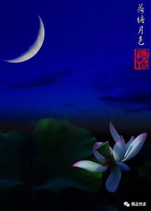 描寫月色的古詩(shī)句,描寫江面的古詩(shī)句,描寫冬天江面的古詩(shī)句