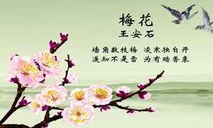 描寫冬天的古詩句大全,關于冬天的古詩五言絕句大全,冬天的古詩手抄報大全