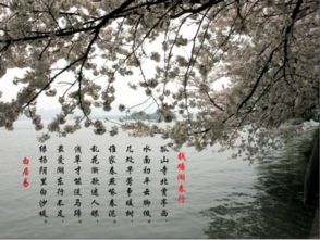 古詩(shī),詩(shī)句,描寫(xiě),風(fēng)景