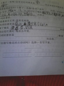描寫泰山梅花的詩(shī)句古詩(shī)