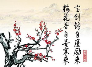 詠荷花的詩句古詩,關(guān)于寫荷花的詩句古詩,關(guān)于贊美荷花的詩句古詩