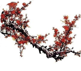 關(guān)于有梅花的詩(shī)句凌寒獨(dú)自開
