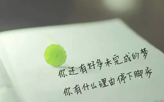 詩句,奮斗,成功