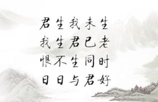 傳達愛(ài)意的古詩(shī)句