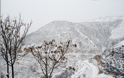 關于雪的原創(chuàng)詩句