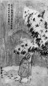 關(guān)于常青的詩(shī)句
