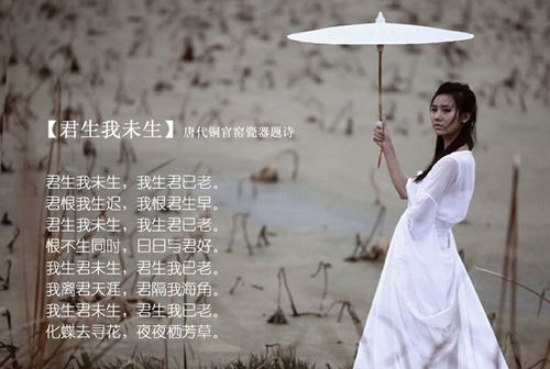 贊美人認(rèn)真工作的詩句古詩詞