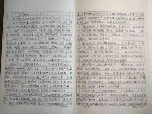 關于詩句的高考作文
