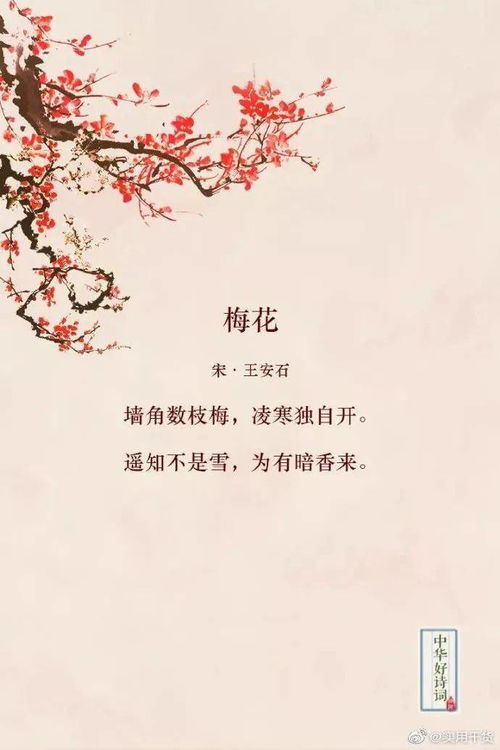 對(duì)關(guān)于喜歡花的詩(shī)句