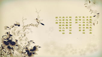 描寫(xiě)太陽(yáng)的詩(shī)句古詩(shī)詞精選