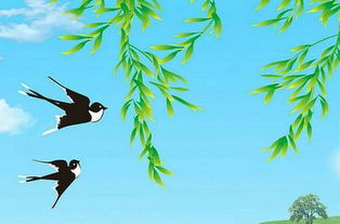 小學三級關于燕子的詩句古詩詞