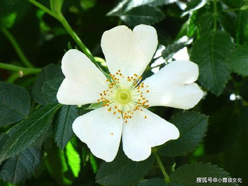 關(guān)于水的堅(jiān)持不懈的詩句,形容堅(jiān)持不懈的詩句,比喻堅(jiān)持不懈的詩句