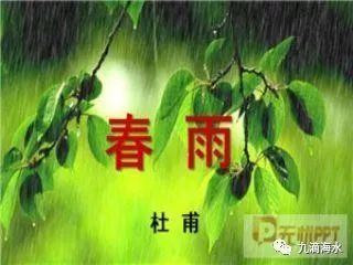 關(guān)于春雨高興的詩句