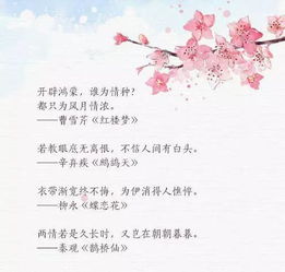 鴛鴦戲水的詩(shī)句情話,撩人詩(shī)句情話,星河的詩(shī)句情話