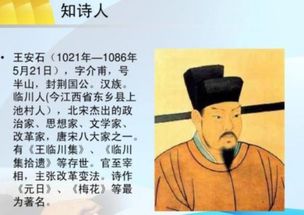 日字在古詩中解釋為時(shí)候的詩句