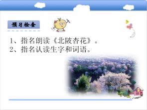 杏花,古詩,詩句,小學(xué)