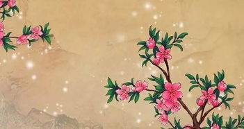 春花雪的詩句古詩