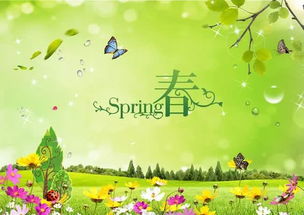 描寫(xiě)春天美景的古詩(shī)佳句,描寫(xiě)春天美景的古詩(shī)句有哪些,描寫(xiě)春天美景的古詩(shī)有哪些,四句
