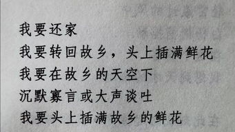 詩(shī)句,故鄉,意義