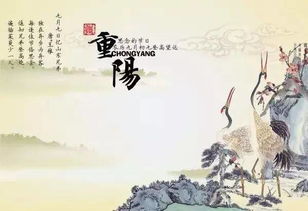 關(guān)于重陽(yáng)節有關(guān)的詩(shī)句古詩(shī)大全